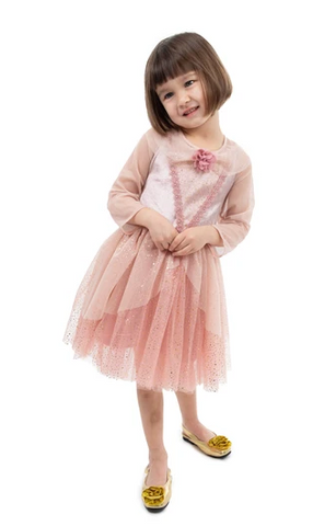 Vintage Sleeping Beauty Party Dress 5-7