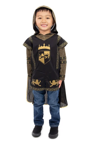 Black Lion Knight