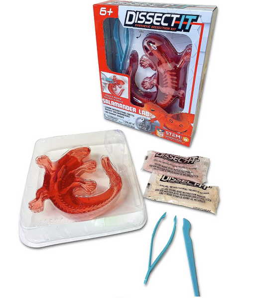Dissect-It Salamander Lab