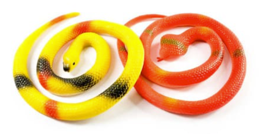 Stretch Snake Assorted