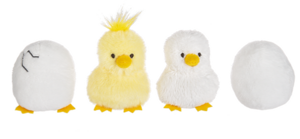 10" Chicken Learn & Grow
