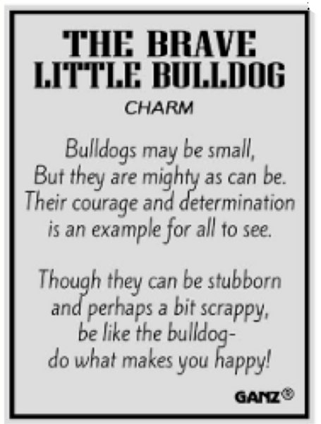 Charm-Brave Little Bulldog