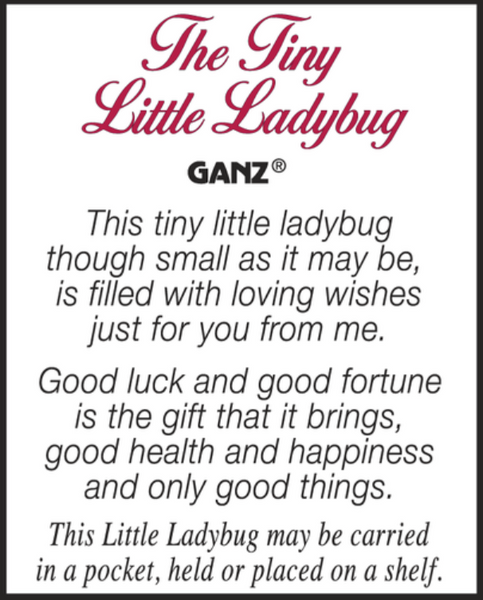 Charm-Tiny Little Ladybug