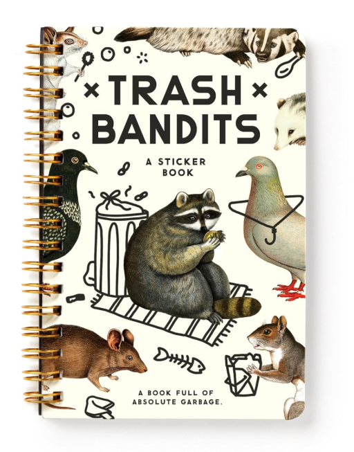 Sticker Activity Set Dinosaurs (Copy) (Copy)