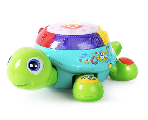 MUSICAL TURTLE