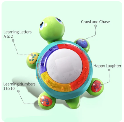 MUSICAL TURTLE