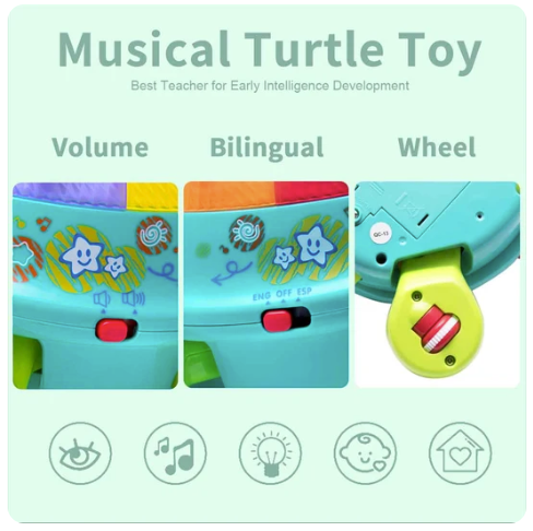 MUSICAL TURTLE