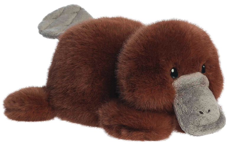 11" Puck Platypus