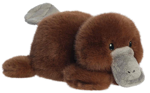 11" Puck Platypus