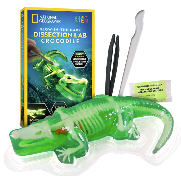Nat' Geo Glow Crocodile Dissection Lab