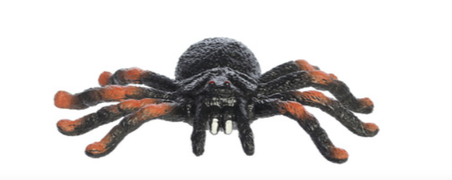 Spider Squish