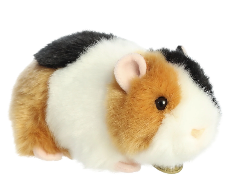 7.5" American Guinea Pig