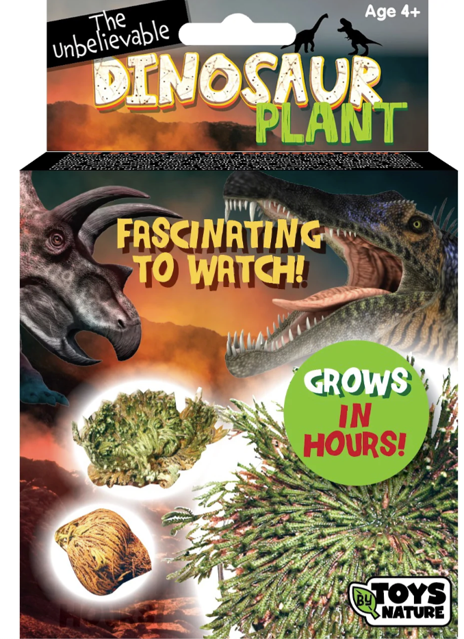 Dino Plant