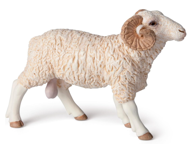 Papo Ram