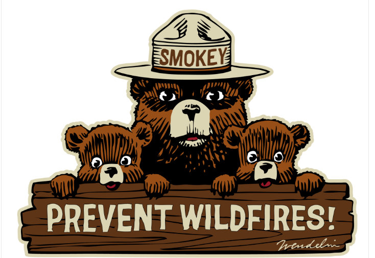 Smokey Bear Three Bears Magnet