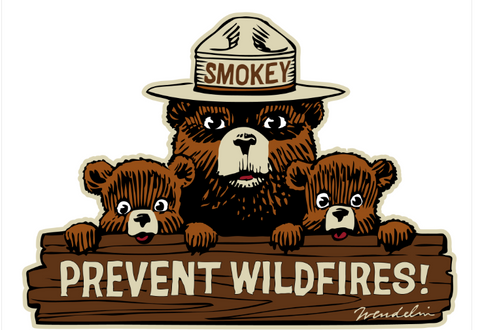 Smokey Bear Three Bears Magnet