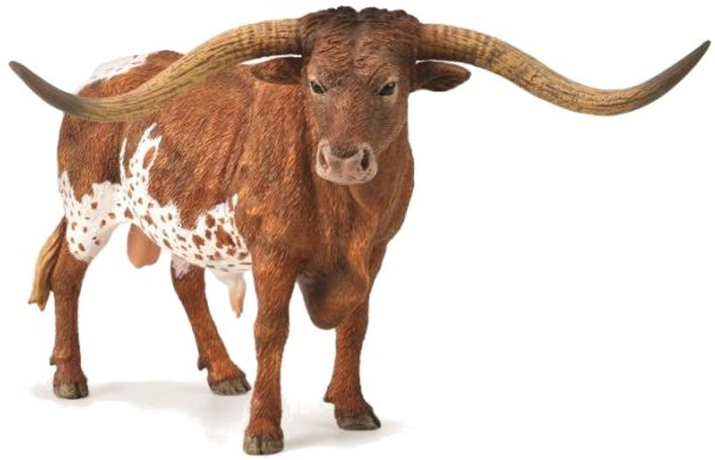 Texas Longhorn Bull