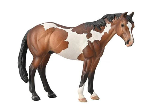 Paint Horse-Bay Overo