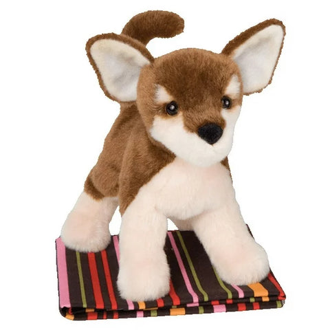 Pepito Chocolate Chihuahua