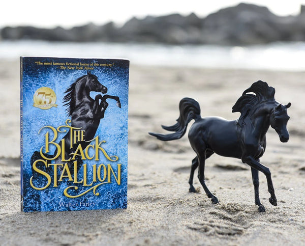 Black Stallion Horse Book Set