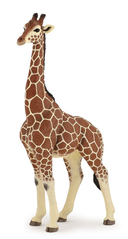 Giraffe Male Papo
