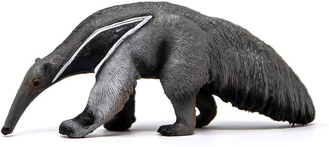 Anteater