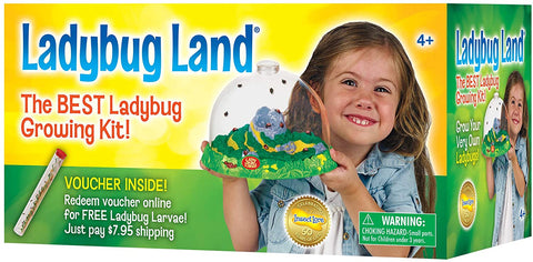 Ladybug Land