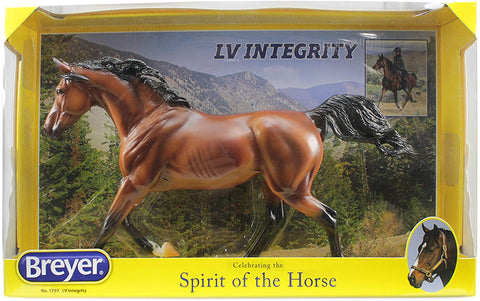 Integrity Endurance Arabian