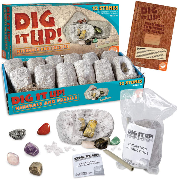 Dig It Up Minerals & Fossils