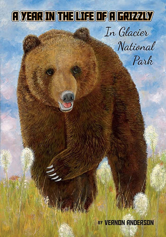A Year In The Life Of A Grizzly