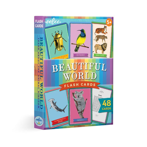 Beautiful World Flash Cards