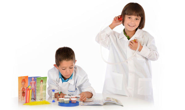 The Human Body Science Kit