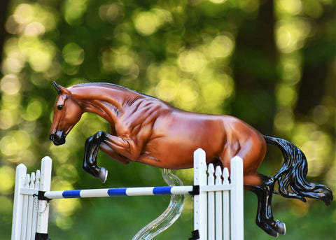 Voyeur Champion Show Jumper